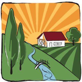 Stumpen Kerze natur  68x43mm